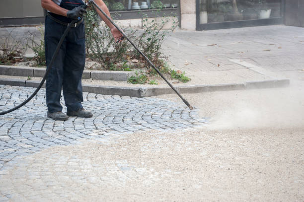 Best Dumpster Area Cleaning  in Holland, TX